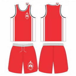 DST Basketball Sets