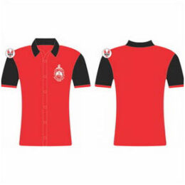 DST Button Down Shirts