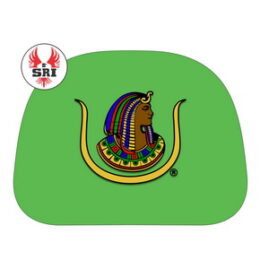 DOI CAR HEAD REST COVER